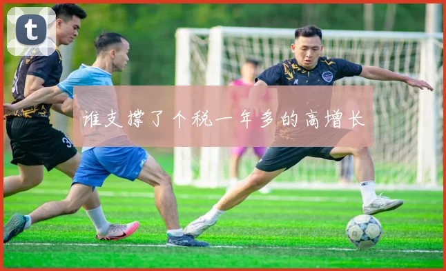 谁支撑了个税一年多的高增长