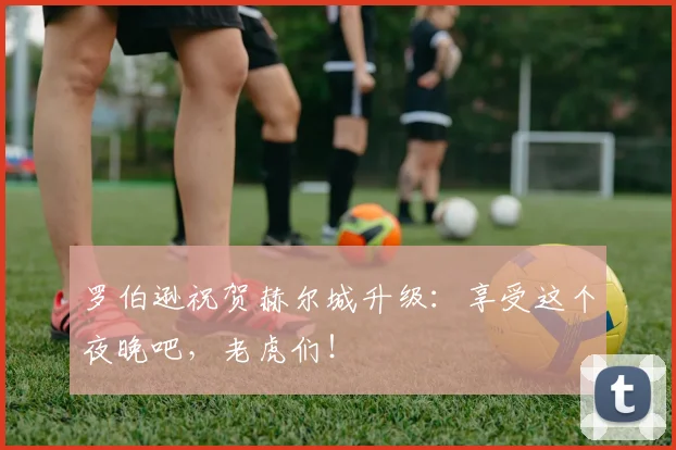 罗伯逊祝贺赫尔城升级：享受这个夜晚吧，老虎们！