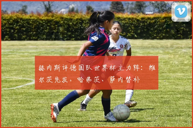 赫内斯评德国队世界杯主力阵：维尔茨先发，哈弗茨、萨内替补